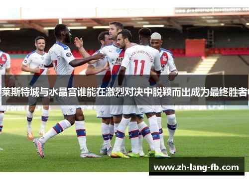 莱斯特城与水晶宫谁能在激烈对决中脱颖而出成为最终胜者 莱斯特城与水晶宫谁能在激烈对决中脱颖而出成为最终胜者