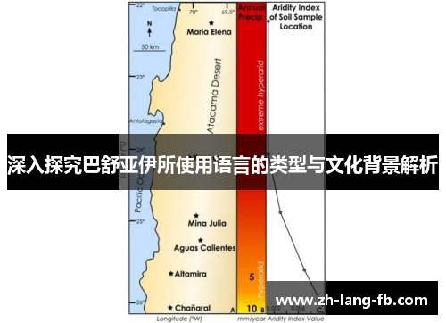 深入探究巴舒亚伊所使用语言的类型与文化背景解析