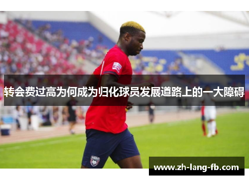 转会费过高为何成为归化球员发展道路上的一大障碍