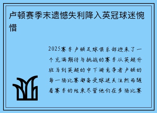 卢顿赛季末遗憾失利降入英冠球迷惋惜 卢顿赛季末遗憾失利降入英冠球迷惋惜