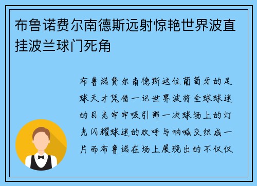 布鲁诺费尔南德斯远射惊艳世界波直挂波兰球门死角 布鲁诺费尔南德斯远射惊艳世界波直挂波兰球门死角